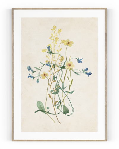 Plakát / Obraz Flowers