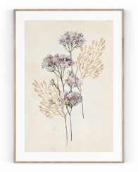 Plakát / Obraz Flowers