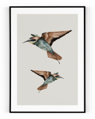 Plakát / Obraz Two Bird