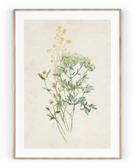 Plakát / Obraz Flowers