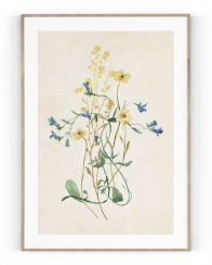 Plakát / Obraz Flowers
