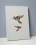 Plakát / Obraz Two Bird - Velikost: 50 x 70 cm, Materiál: Pololesklý saténový papír, Bílý okraj: S okrajem