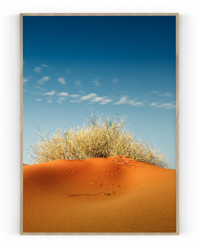Plakát / Obraz Dune - Velikost: 30 x 40 cm, Materiál: Pololesklý saténový papír 210 g/m², Bílý okraj: S okrajem