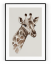 Plakát / Obraz Giraffe