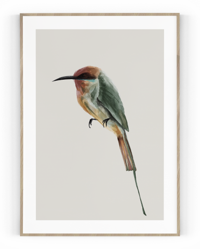 Plakát / Obraz Bird - Velikost: 40 x 50 cm, Materiál: Samolepící plátno, Bílý okraj: Bez okraje