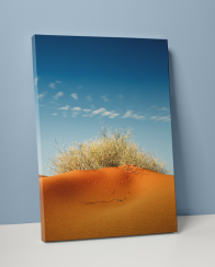 Plakát / Obraz Dune