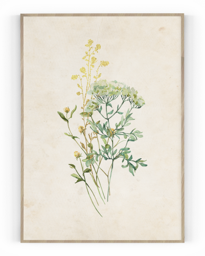 Plakát / Obraz Flowers - Velikost: 50 x 70 cm, Materiál: Tiskové plátno