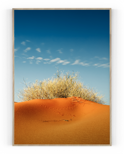 Plakát / Obraz Dune