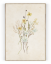 Plakát / Obraz Flowers - Velikost: A4 - 21 x 29,7 cm, Materiál: Tiskové plátno