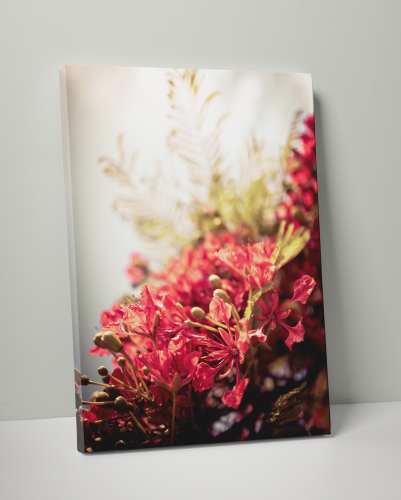 Plakát / Obraz Bloom - Rozměr: 61 x 91,5 cm, Materiál: Pololesklý saténový papír, Bílý okraj: Bez okraje