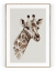 Plakát / Obraz Giraffe