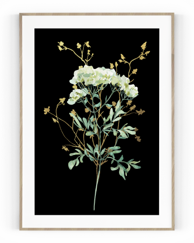 Plakát / Obraz Flowers - Velikost: 30 x 40 cm, Materiál: Pololesklý saténový papír 210 g/m²