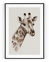 Plakát / Obraz Giraffe